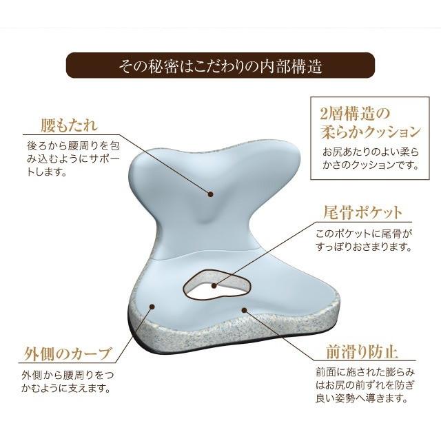 骨盤クッション 腰痛 馬具マットプレミアムEXの画像