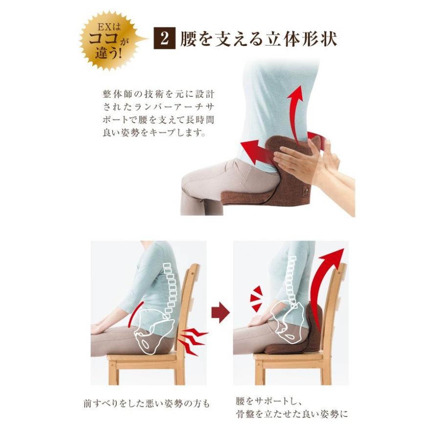 骨盤クッション 腰痛 馬具マットプレミアムEX : LUNA BEAUTY ヤフー店