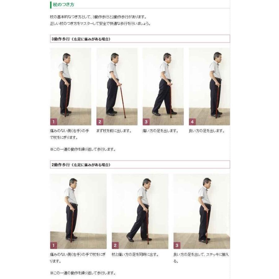 ステッキ オッセンベルグ Agシリーズ 伸縮杖 Ag 3 左 杖 Ecd862 Luna Beauty ヤフー店 通販 Yahoo ショッピング