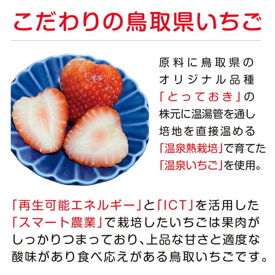 果肉たっぷり温泉いちごミルクのもと 370ml【鳥取県産とっておき