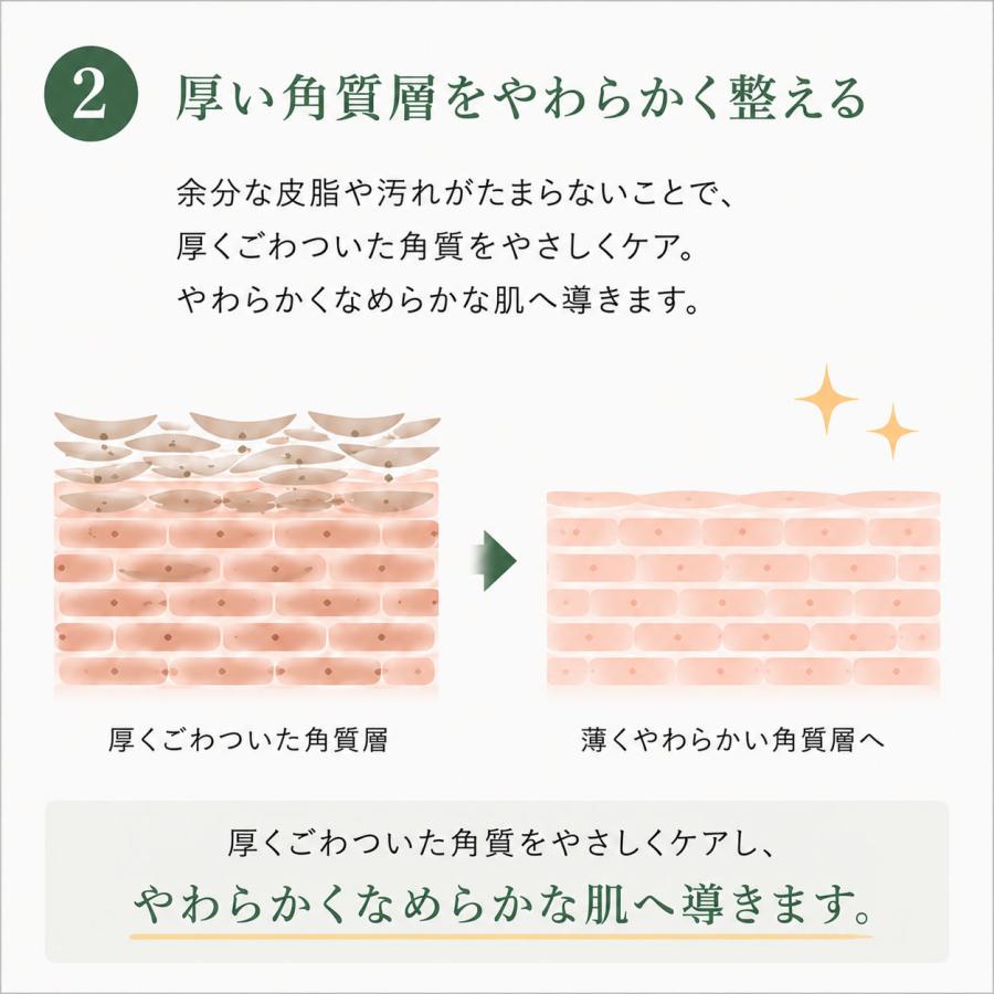 ニキビ 洗顔 洗顔料 クレイ洗顔 敏感肌 50回分 280g 毛穴 黒ずみ 低
