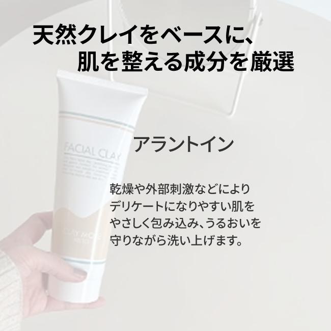 フェイシャルクレイ 洗顔料 男女兼用 ニキビ テカリ 界面活性剤フリー