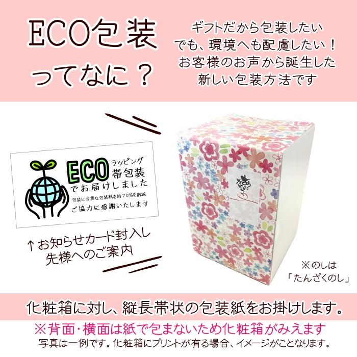 即納　非常食 7年保存レトルト食品セット (3日分) アレルギー対応版 災害  防災 備蓄 台風 ハラル  アレルゲンフリー ECO包装のし対応 |  | 01