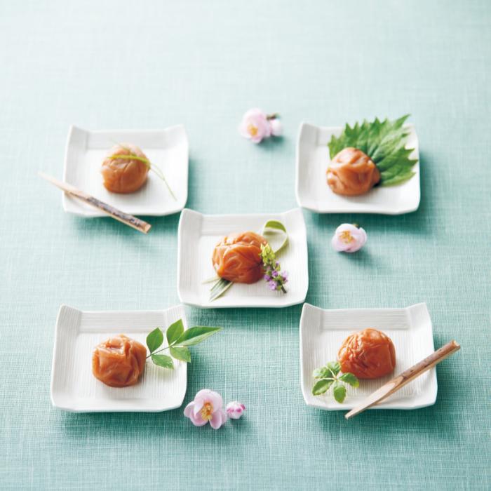 【引出物】紀州南高梅 6粒　GM488【梅干し・フード・ギフト】包装・熨斗対応 |  | 01