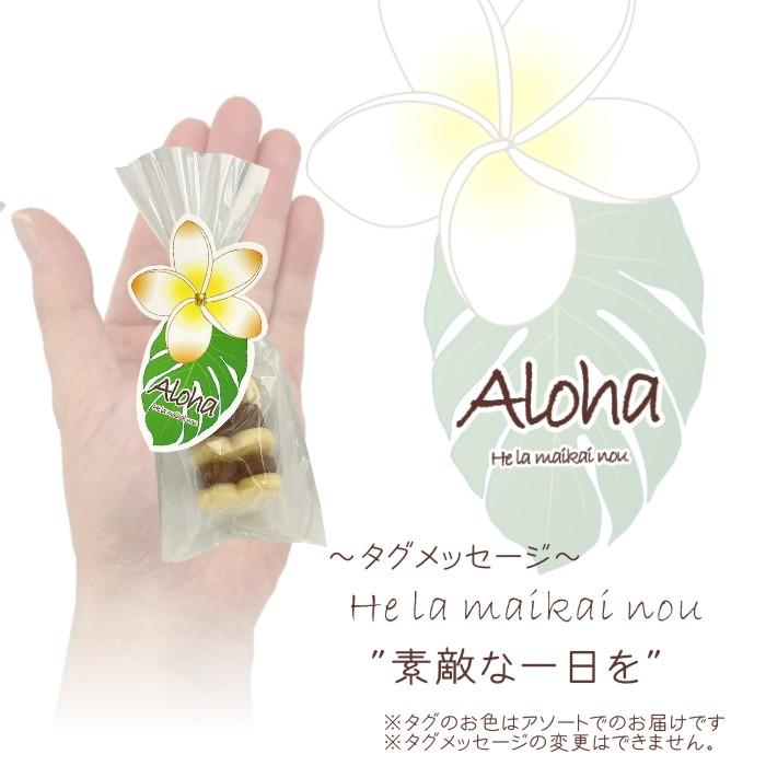 【プチギフト】プルメリアンクッキーPB PB235（ハートクッキー5枚）aloha ハワイアン クッキー 夏 サマー 南国 |  | 01