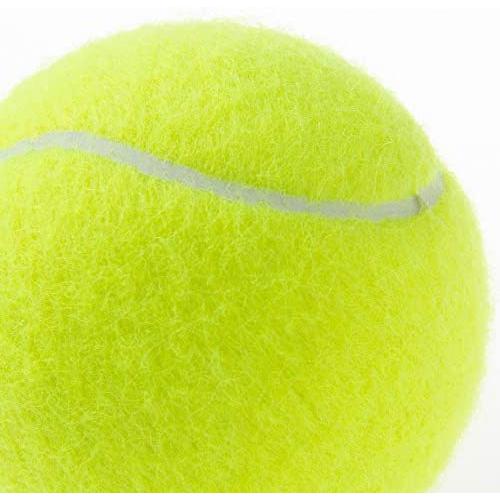 最適な材料 Wilson ウイルソン 硬式テニスボール ノンプレッシャーボール トレーナー 72個 専用バケツカゴ Wrt1310 ウィルソン イエロー 激安の Zoetalentsolutions Com