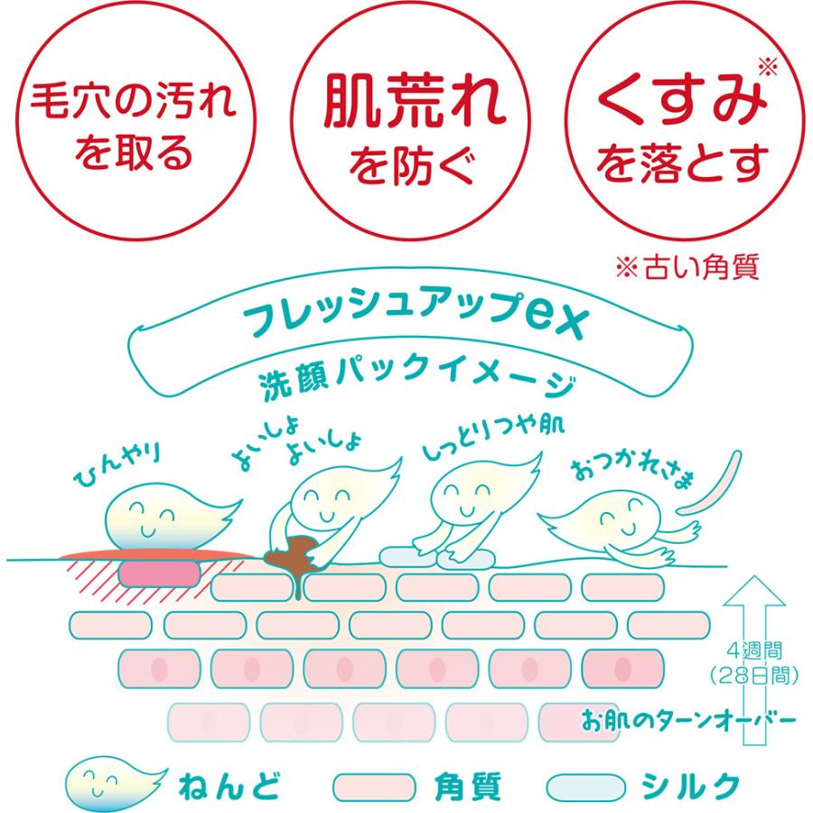 ルナレーナ 白色粘土洗顔料 ワーキーズ フレッシュアップEX 1400g_3