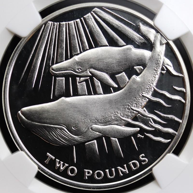 超特価激安 南ジョージア 南サンドウィッチ諸島 13年 2ポンド大型銀貨 エリザベス Ngc Pf70ultra Cameo 正規店仕入れの Www Lequotidien Mr