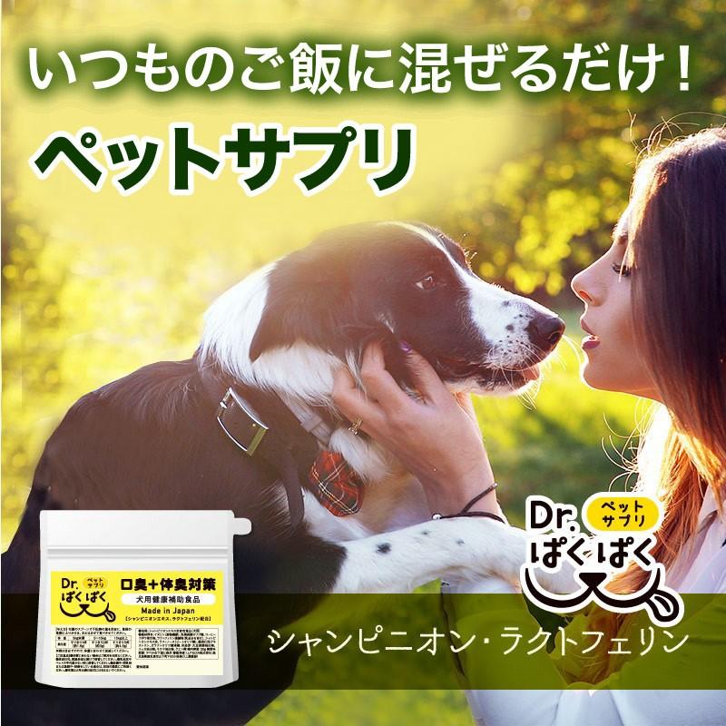 訳あり Dr ぱくぱく 犬用サプリメント 送料無料 小型犬 大型犬まで 犬用健康補助食品 国産 無添加 防腐剤不使用 賞味期限年9月 リュネメガネコンタクト 通販 Paypayモール