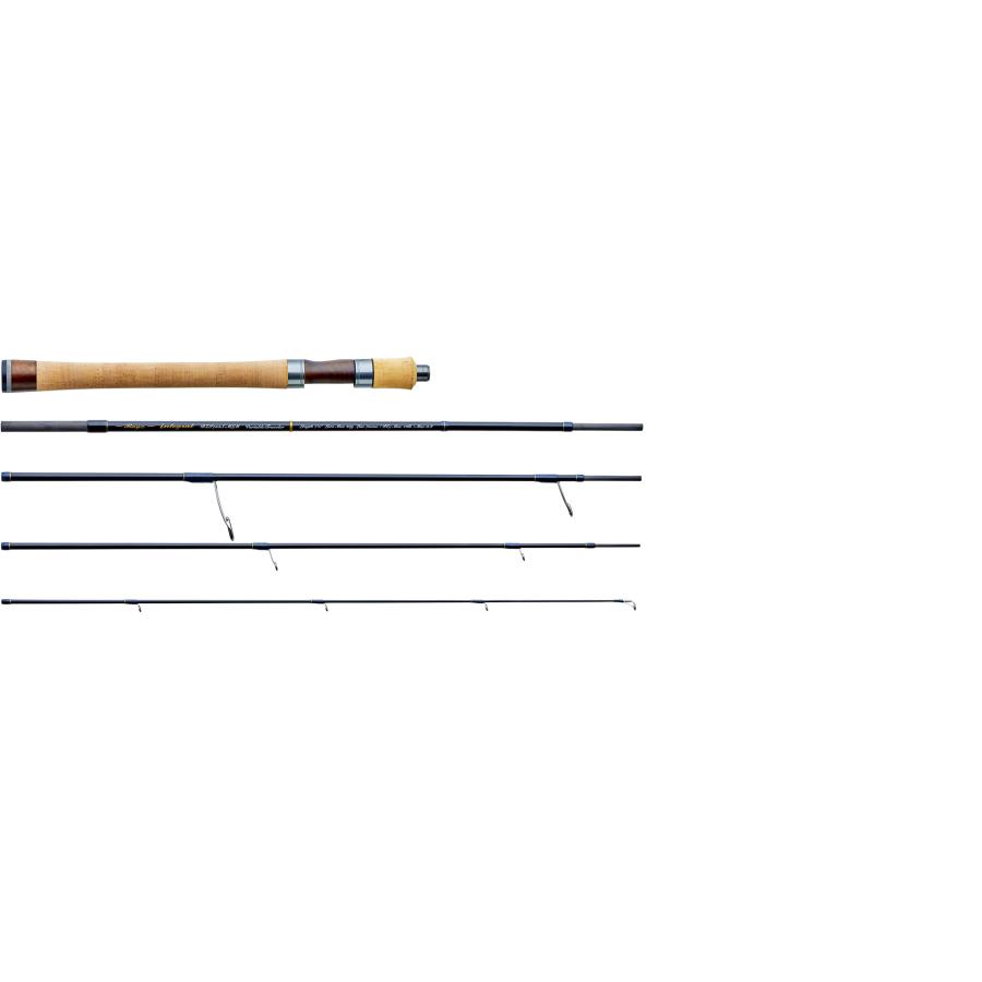 TENRYU レイズ インテグラル(Rayz integral) RZI755S-MLM (Variable