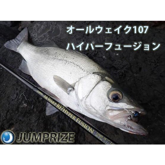 JumpR ALLWAKE(ジャンプライズ オールウェイク）107ハイパー 