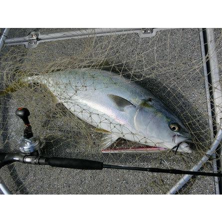 JUMPRIZE（ジャンプライズ） JumpR モンスターアブソーバー 553/B