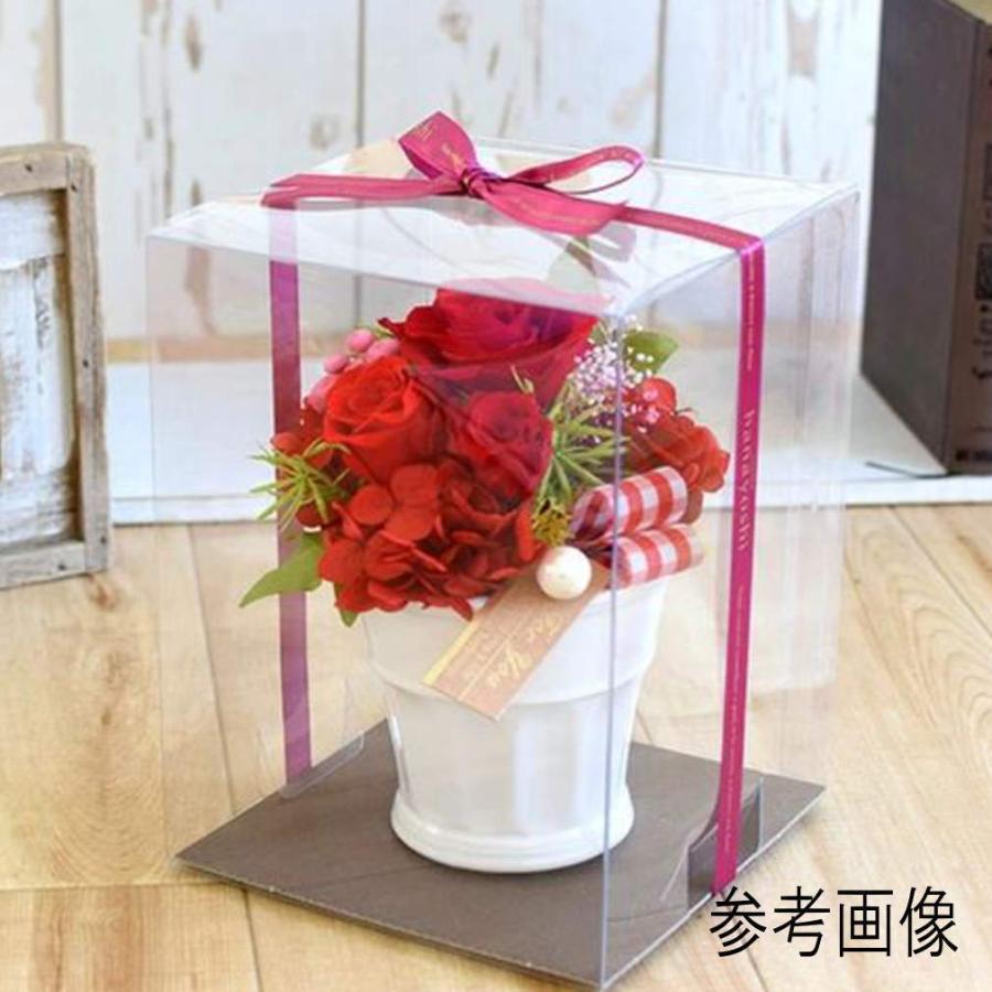 クリアケース LLサイズ 1個 20cm×20cm×高さ30cm 丈夫な0.4mm 花 クリア