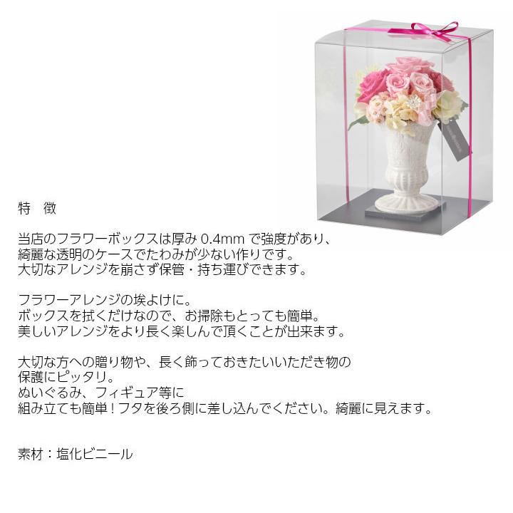 クリアケース LLサイズ 30個セット 20cm×20cm×高さ30cm 花 フラワー