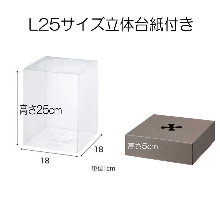 クリアケース L25サイズ立体台紙付き 1個 18cm×18cm×高さ25cm 台紙6cm