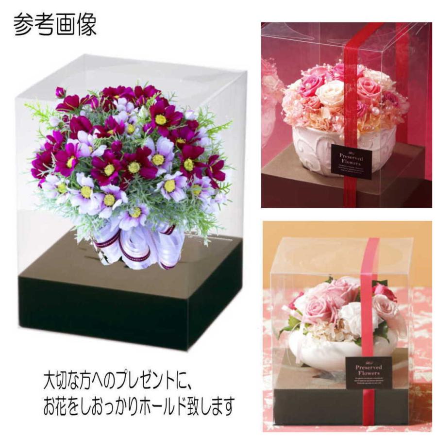 クリアケース L25サイズ立体台紙付き 1個 18cm×18cm×高さ25cm 台紙6cm