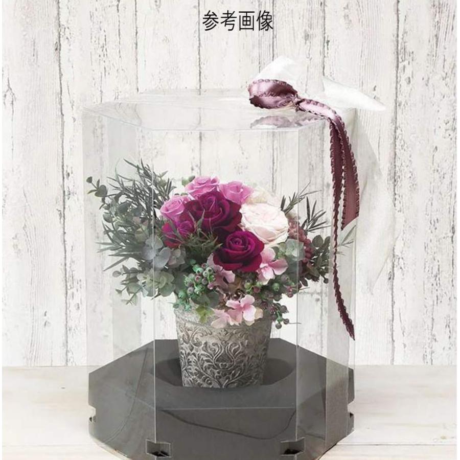六角形 ブーケケース 花 ブーケ アレンジフラワー クリアケース フラワーボックス フィギュア ケース 花束 ウエディング 収納 日本製 Prism1 Prism1 Lupineルピナス 通販 Yahoo ショッピング