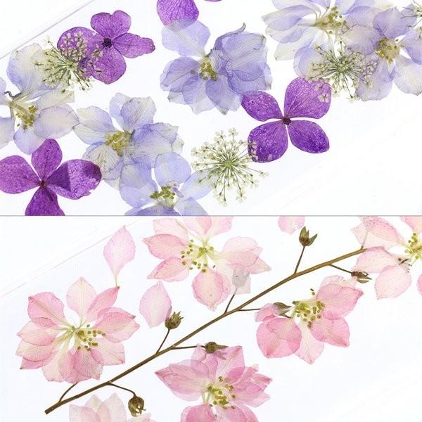 Iphoneケース レディース 透明 押し花 Iphonex Iphonexs おしゃれ ルピス 18 Lupis 通販 Yahoo ショッピング