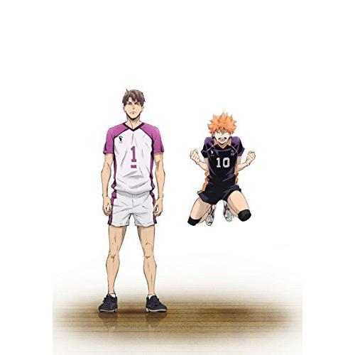店 劇場版総集編 白鳥沢学園高校戦 ハイキュー コンセプトの戦い 初回生産限定版 Blu Ray 好評受付中