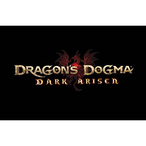 ドラゴンズドグマ ダークアリズン Ps4 ソフト パッケージ版 国内最安値 Themtransit Com