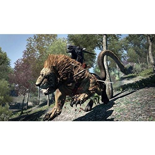 ドラゴンズドグマ ダークアリズン Ps4 ソフト パッケージ版 国内最安値 Themtransit Com