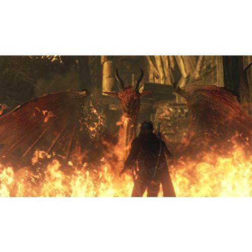 ドラゴンズドグマ ダークアリズン Ps4 ソフト パッケージ版 国内最安値 Themtransit Com