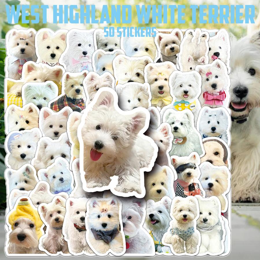 イヌ 犬種別 ステッカー 50枚セット PVC 防水 シール 23種類 犬 いぬ