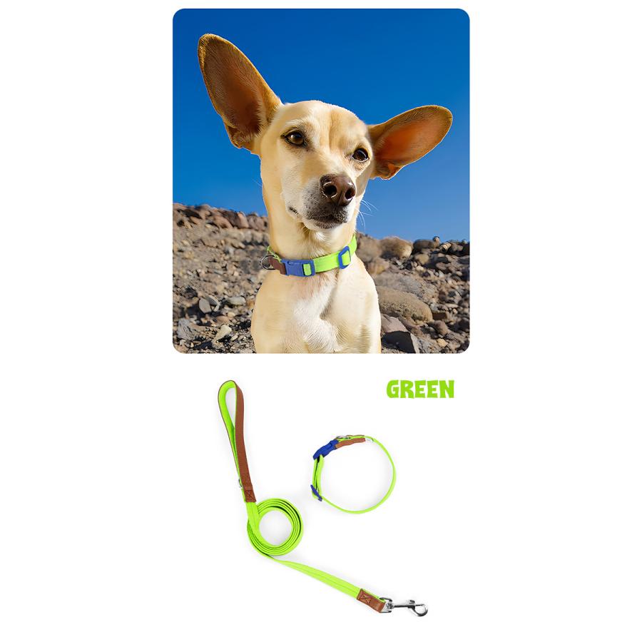 ビビットカラー 犬首輪 リード セット 犬 いぬ イヌ 犬用 首輪 ドッグ