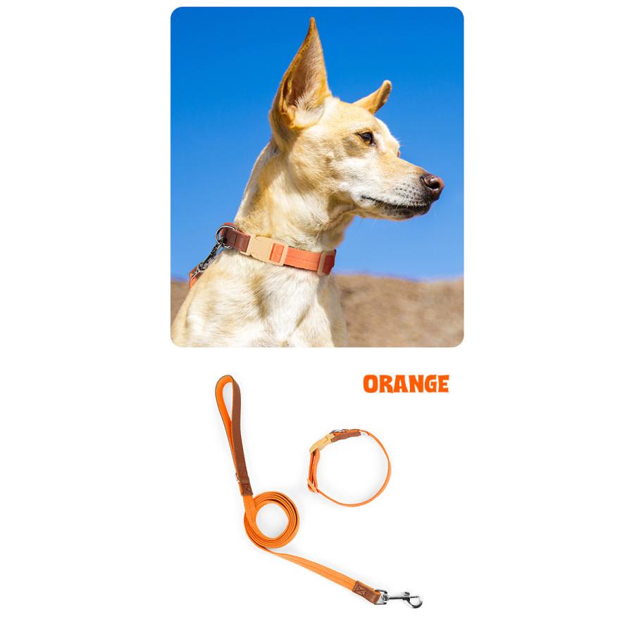 ビビットカラー 犬首輪 リード セット 犬 いぬ イヌ 犬用 首輪 ドッグ