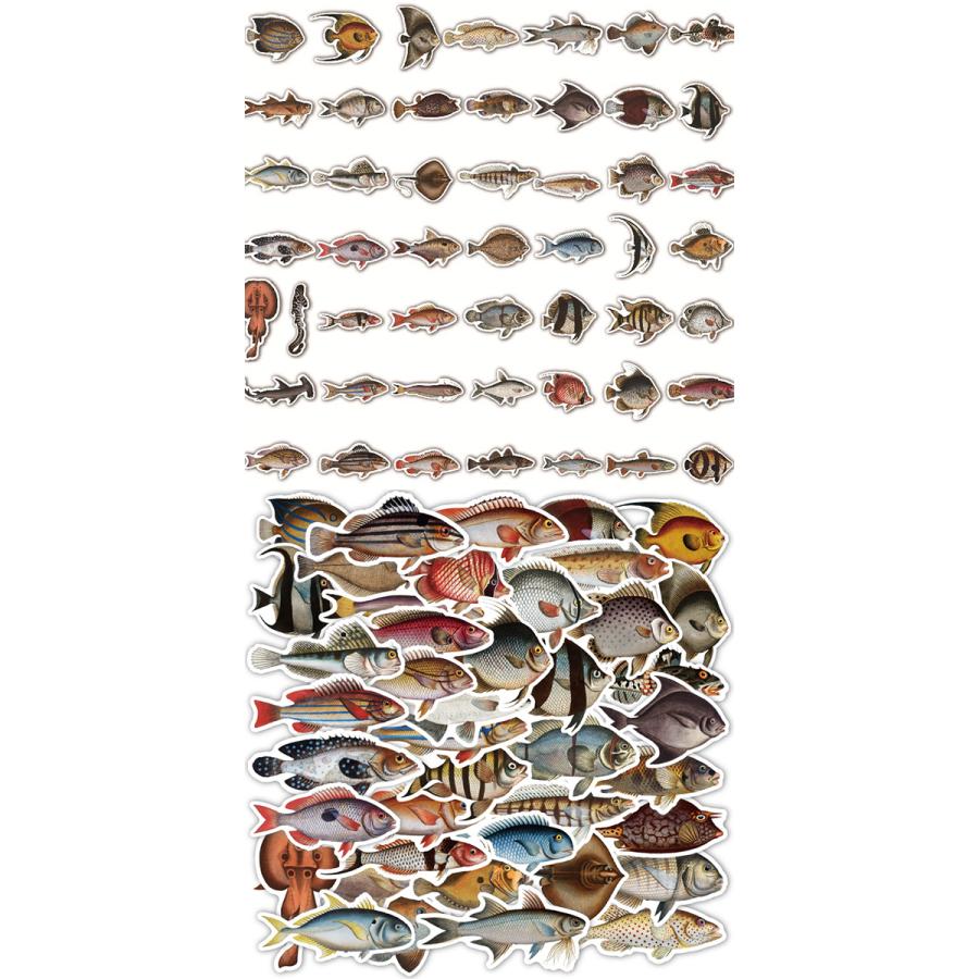 魚類 ステッカー 50枚セット PVC 防水 シール 魚 サカナ さかな タコ