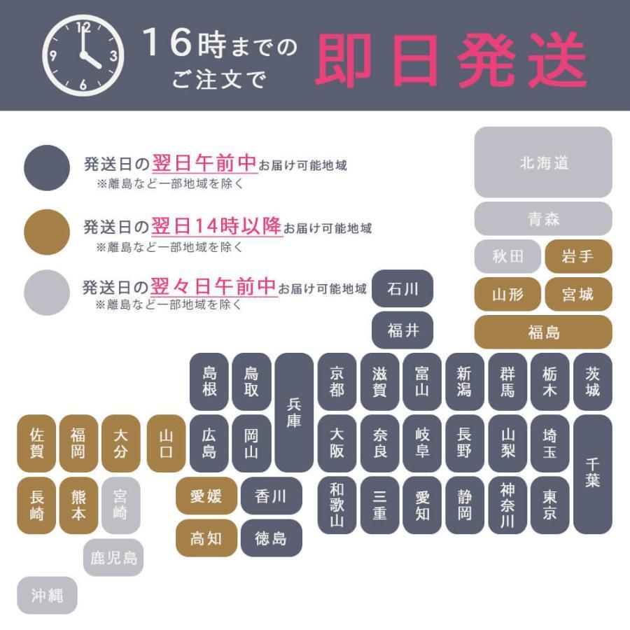 Lurco（ルルコ） ブラックフォーマル バッグ 日本製 シンプル