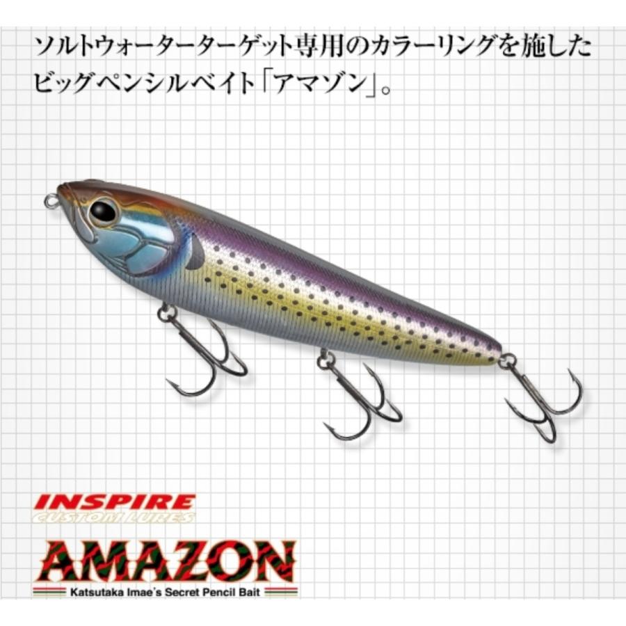 EverGreen エバーグリーン アマゾン ペンシル 160mm 43g EverGreen エバーグリーン アマゾン ペンシル 160mm 43g