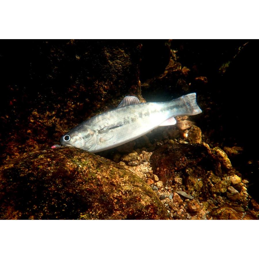 IMAKATSU（イマカツ） *イマカツ バスワーム145 STDカラー BASSWORM145