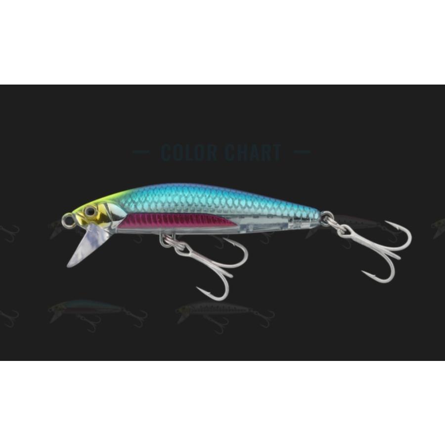 特価 ジャッカル ビッグバッカー フィットミノー 70 : ルアーショップ