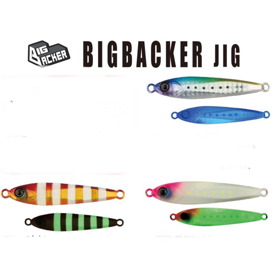 ジャッカル ビッグバッカージグ 40g ＜CGオリジナルカラー＞ : ルアー