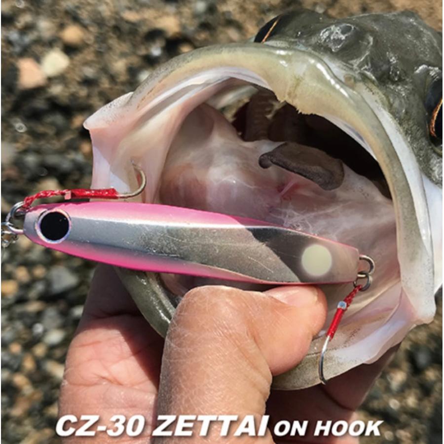 【全6色】 コアマン ゼッタイオンフック 30g CZ-30 値下げ COREMAN コアマン CZ-30 ゼッタイ オンフック 30g : ルアー