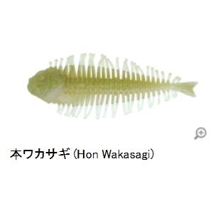 DSTYLE ディスタイル GEELACANTH（ギーラカンス） 3インチ Feco対応