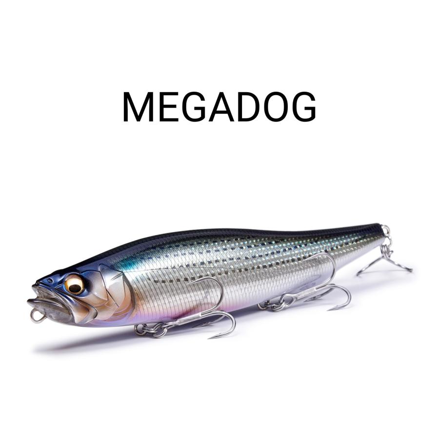 Megabass（メガバス） 「期間限定」特価 MEGADOG メガドッグ : ルアー