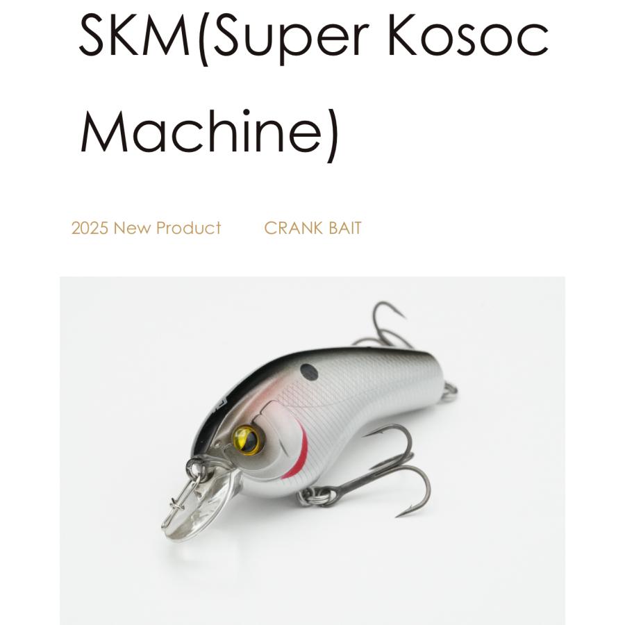 レイドジャパン SKM(Super Kosoc Machine) : ルアーショップB.B - 通販