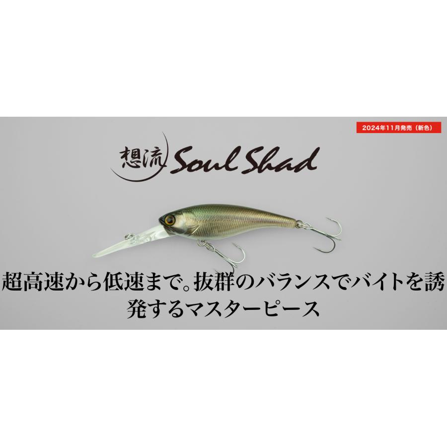 JACKALL（ジャッカル） ソウルシャッド58SR SP 5.0g/58mm 2024カラー