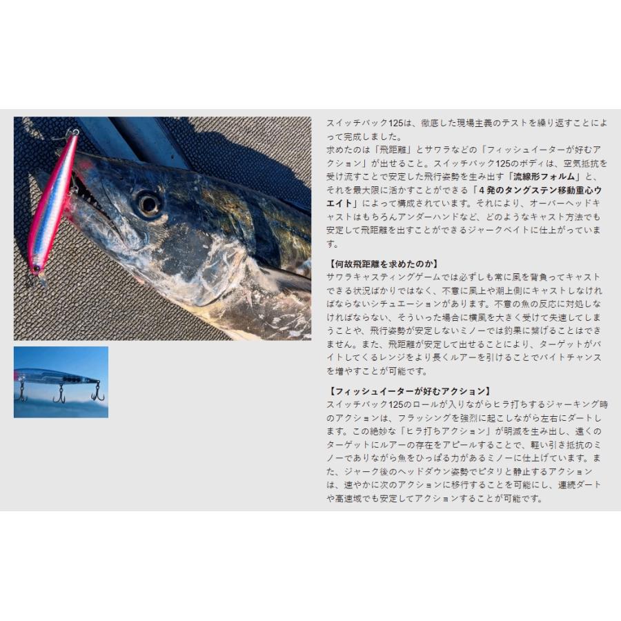 Major Craft（メジャークラフト） *メジャークラフト スイッチバック