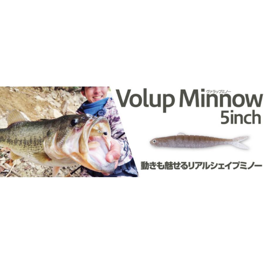 ヴァラップミノー5inch 21個セット販売 ボトムアップ ヴァラップミノー 5インチ : ルアーショップB.B - 通販
