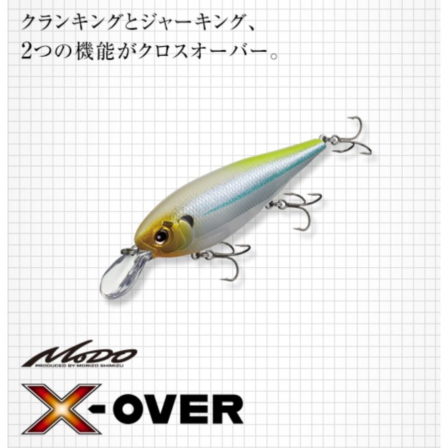 EverGreen [特価品]エバーグリーン エックスオーバー 18.5g/90mm
