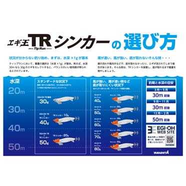 YAMASHITA（ヤマシタ） エギ王 TRシンカー 30g 限定色 : ルアープラス