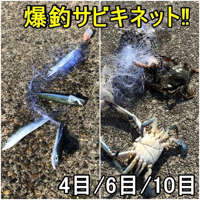 投網 釣り カニ釣り サビキ仕掛け アジ サバ 安全 ギガランキングｊｐ