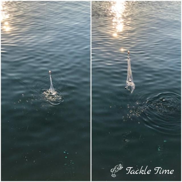 Tackletime サビキネット サビキ 仕掛け カニ網 カニ釣り カニ捕り 投網 刺網 魚網 ワタリガニ アジ サバ イワシ Sabikinet2 ルアー 釣具 Tackletime 通販 Yahoo ショッピング