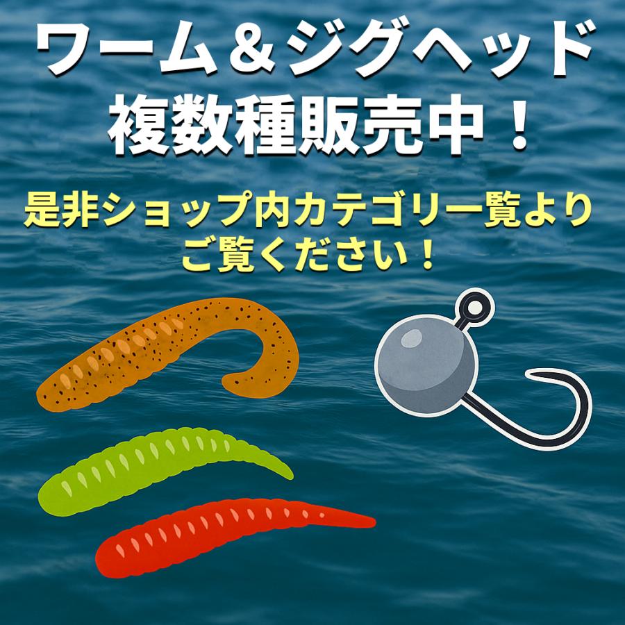 ルアー ワーム セット シャッドテール 10cm 6g シーバス ヒラメ