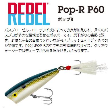 REBEL（釣り） レーベル P60 ポップR #75 FoxyShad