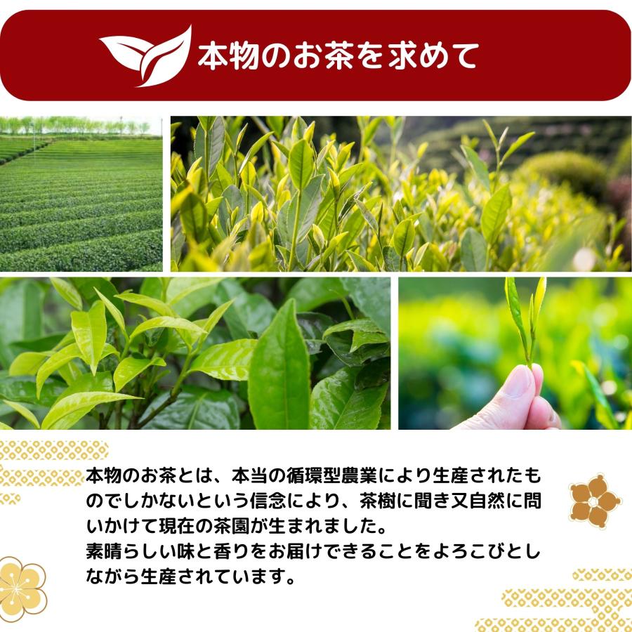 雅紅茶 狭山茶ブランド 24g 上谷ヶ貫 狭山茶は、埼玉県の狭山丘陵で育てられます 狭山紅茶は、和式紅茶（和紅茶）の中でも高い品質を誇ります。｜luruspot｜03