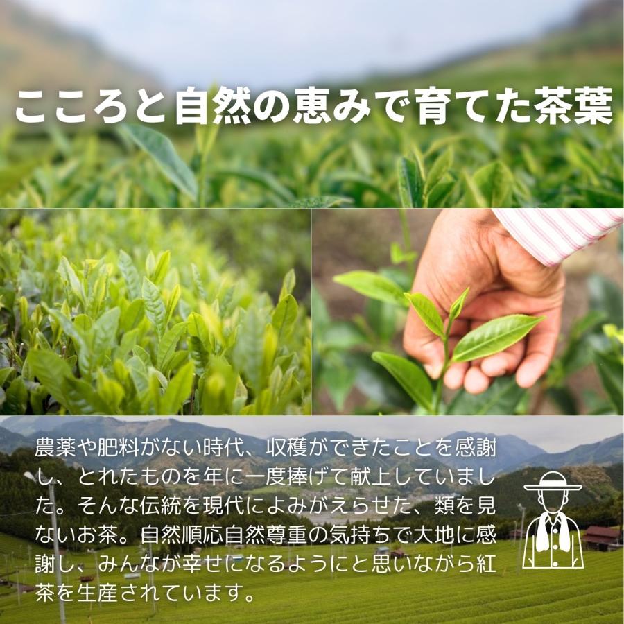 【お試しサイズ】和紅茶 ミルクティー 紅茶 | 雅紅茶 静岡茶 駿河 茶葉 24g | 1000円ポッキリ 和紅茶 送料無料 ミルクティー 無糖 リーフ 高級 紅茶 国産 日本 |  | 03